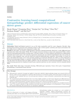 Contrastive learning-based computational histopathology predict
  differential expression of cancer driver genes