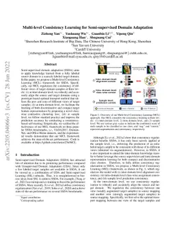 Multi-level Consistency Learning for Semi-supervised Domain Adaptation