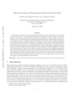 Robust Learning of Parsimonious Deep Neural Networks
