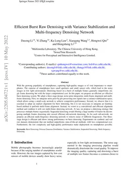 Efficient Burst Raw Denoising with Variance Stabilization and
  Multi-frequency Denoising Network