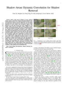 Shadow-Aware Dynamic Convolution for Shadow Removal