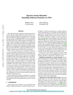 Injection Attacks Reloaded: Tunnelling Malicious Payloads over DNS