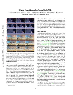 Diverse Video Generation from a Single Video