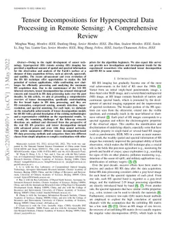Tensor Decompositions for Hyperspectral Data Processing in Remote
  Sensing: A Comprehensive Review