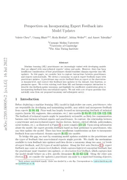 Perspectives on Incorporating Expert Feedback into Model Updates