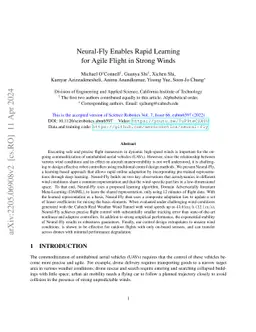 Neural-Fly Enables Rapid Learning for Agile Flight in Strong Winds