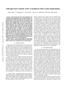 Self-supervised Assisted Active Learning for Skin Lesion Segmentation