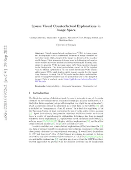Sparse Visual Counterfactual Explanations in Image Space