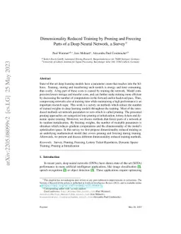 Dimensionality Reduced Training by Pruning and Freezing Parts of a Deep
  Neural Network, a Survey