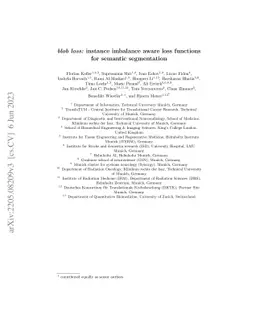 blob loss: instance imbalance aware loss functions for semantic
  segmentation