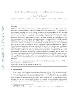 On the efficiency of Stochastic Quasi-Newton Methods for Deep Learning