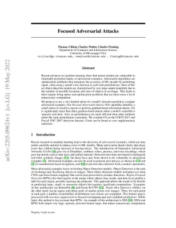 Focused Adversarial Attacks