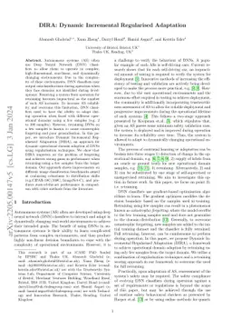 DIRA: Dynamic Domain Incremental Regularised Adaptation