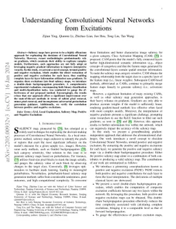 Understanding CNNs from excitations