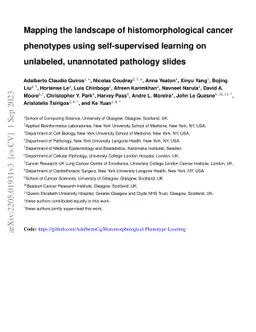 Mapping the landscape of histomorphological cancer phenotypes using
  self-supervised learning on unlabeled, unannotated pathology slides