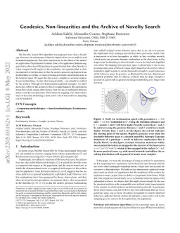 Geodesics, Non-linearities and the Archive of Novelty Search