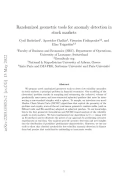 Randomized geometric tools for anomaly detection in stock markets