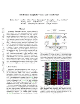 TubeFormer-DeepLab: Video Mask Transformer