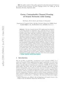 Gator: Customizable Channel Pruning of Neural Networks with Gating