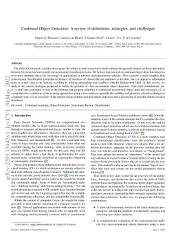 Continual Object Detection: A review of definitions, strategies, and
  challenges