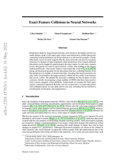 Exact Feature Collisions in Neural Networks