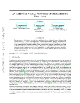 An Artificial Neural Network Functionalized by Evolution