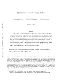 The Fairness of Credit Scoring Models