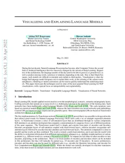 Visualizing and Explaining Language Models