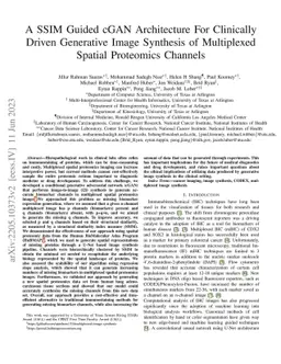 A SSIM Guided cGAN Architecture For Clinically Driven Generative Image
  Synthesis of Multiplexed Spatial Proteomics Channels