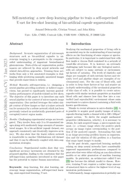 Self-mentoring: a new deep learning pipeline to train a self-supervised
  U-net for few-shot learning of bio-artificial capsule segmentation