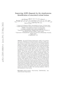 Improving AMD diagnosis by the simultaneous identification of associated
  retinal lesions