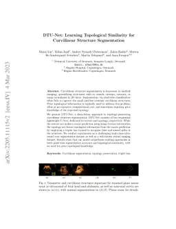 DTU-Net: Learning Topological Similarity for Curvilinear Structure
  Segmentation