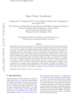Super Vision Transformer