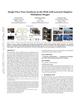 Single-View View Synthesis in the Wild with Learned Adaptive Multiplane
  Images