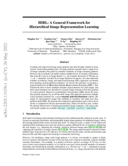 HIRL: A General Framework for Hierarchical Image Representation Learning