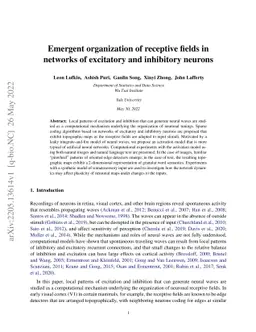 Emergent organization of receptive fields in networks of excitatory and
  inhibitory neurons
