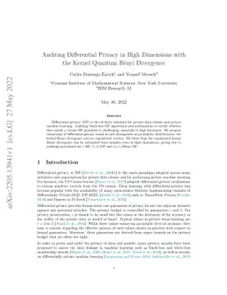 Auditing Differential Privacy in High Dimensions with the Kernel Quantum
  Rényi Divergence