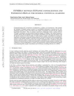 SYNERgy between SYNaptic consolidation and Experience Replay for general
  continual learning