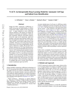 N-ACT: An Interpretable Deep Learning Model for Automatic Cell Type and
  Salient Gene Identification