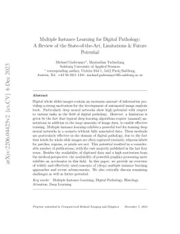 Multiple Instance Learning for Digital Pathology: A Review on the
  State-of-the-Art, Limitations & Future Potential
