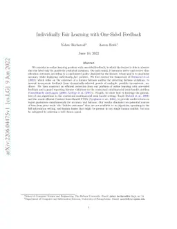 Individually Fair Learning with One-Sided Feedback