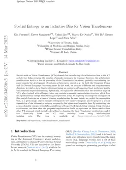 Spatial Entropy as an Inductive Bias for Vision Transformers