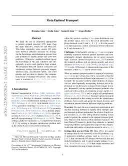 Meta Optimal Transport