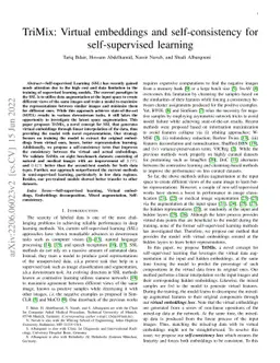 Virtual embeddings and self-consistency for self-supervised learning