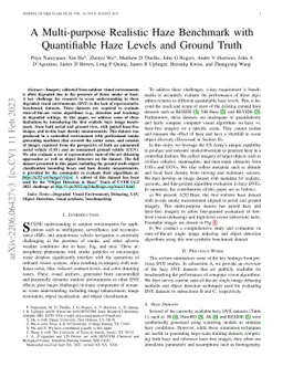 A Multi-purpose Realistic Haze Benchmark with Quantifiable Haze Levels
  and Ground Truth