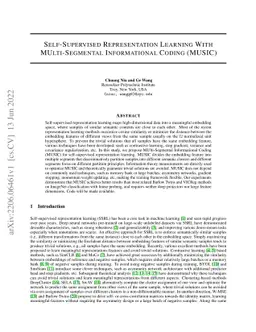 Self-Supervised Representation Learning With MUlti-Segmental
  Informational Coding (MUSIC)