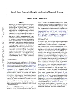 Zeroth-Order Topological Insights into Iterative Magnitude Pruning