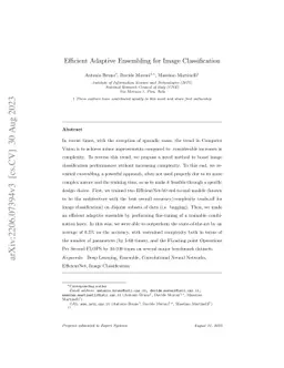 Efficient Adaptive Ensembling for Image Classification