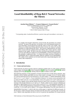 Local Identifiability of Deep ReLU Neural Networks: the Theory
