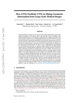 How GNNs Facilitate CNNs in Mining Geometric Information from
  Large-Scale Medical Images